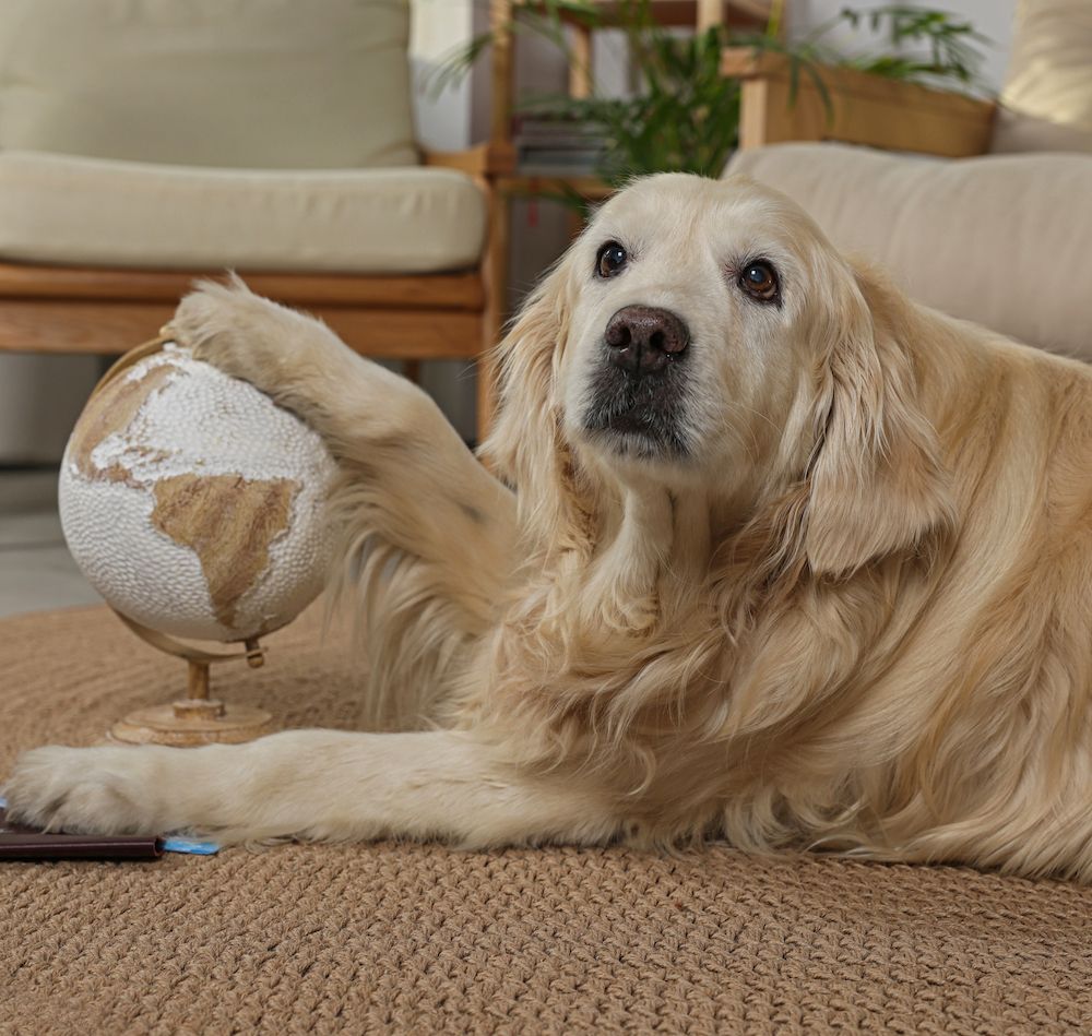 Question of the Week